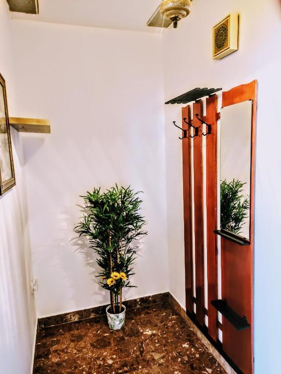 טרוגיר Apartmani Mila A1 & A2 & 3 מראה חיצוני תמונה